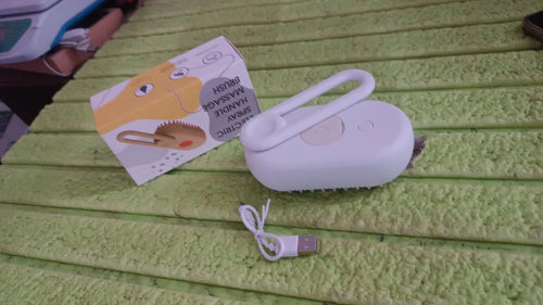 Electric Spray Handle Massage Brush