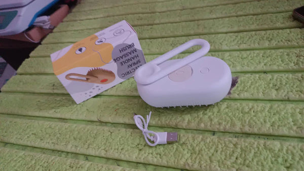 Electric Spray Handle Massage Brush